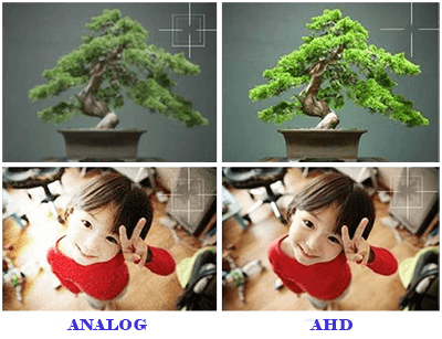 AHD